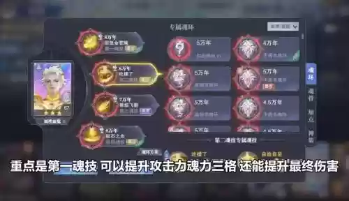 悬赏阵容搭配加点魂环，悬赏装备哪些值得肝