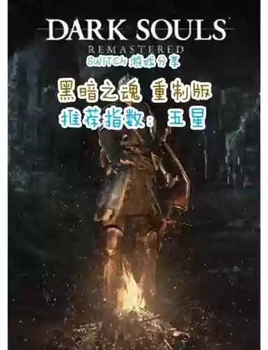 黑魂1装备属性怎么看，黑暗之魂1装备重量判定插图1