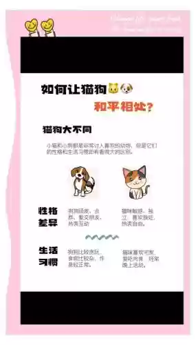 黑与白宠物攻略，黑与白宠物攻略大全插图
