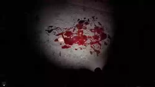 scp087恐怖故事攻略，恐怖故事攻略视频插图