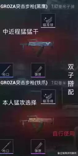 刺激战场两把武器搭配，刺激战场两把武器搭配技巧插图