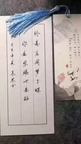 周梦蝶使用什么武器，周梦蝶的经典语录插图