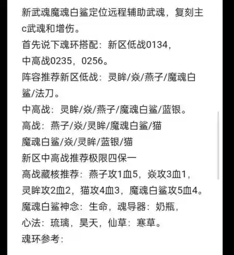 鲨鱼阵容搭配，鲨鱼怎么出装插图