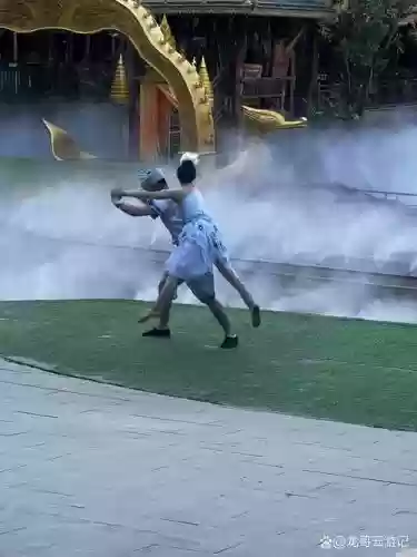 孔雀舞攻略，孔雀舞怎么得