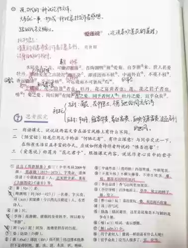 爱莲说二十关攻略，爱莲说23关攻略插图