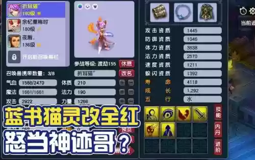 梦幻西游偷猫灵卡，梦幻西游怎么抓猫灵人形插图