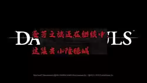 黑暗之魂文字攻略，黑暗之魂标题插图1